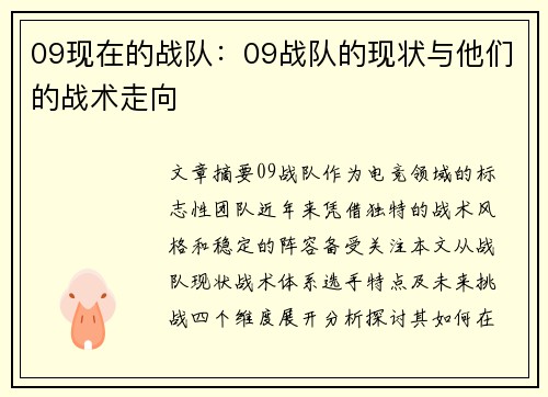 09现在的战队：09战队的现状与他们的战术走向